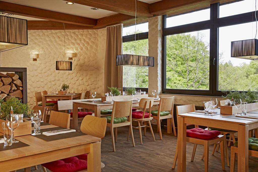 H+ Hotel Willingen ヴィリンゲン エクステリア 写真