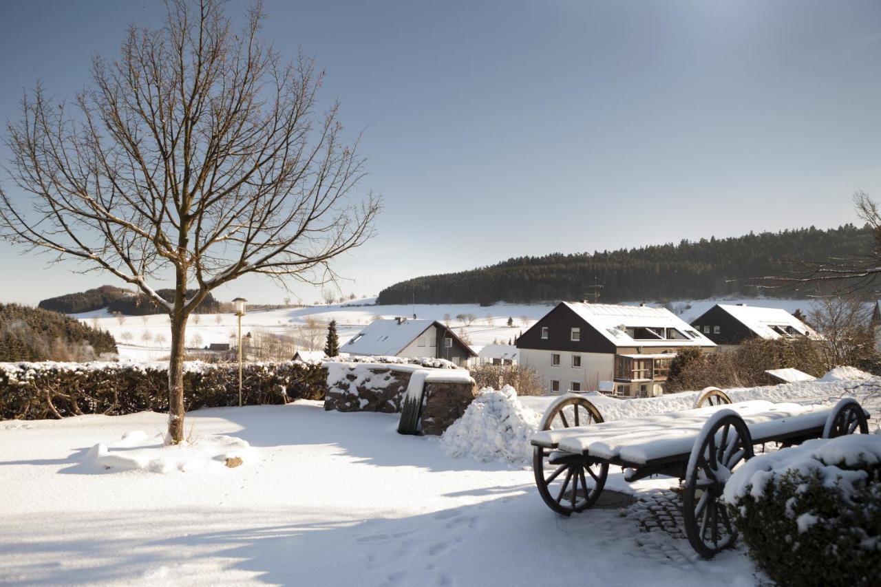 H+ Hotel Willingen ヴィリンゲン エクステリア 写真